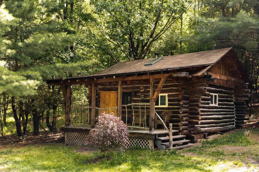 Rustic Ridge Villa Penn Yan Eksteriør bilde
